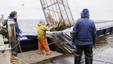 Imagen de Pesca radical: Fuerza mayor - 2