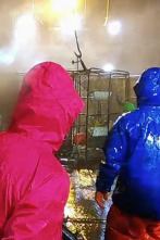 Imagen de Pesca radical: Fuerza mayor - 1