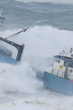 Imagen de Pesca radical: El premio definitivo - 1