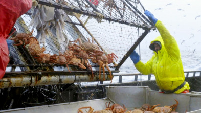Imagen de Pesca radical: Desorden en la frontera - 2