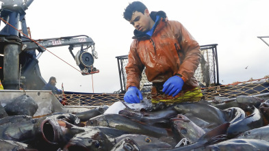 Imagen de Pesca radical: Mundo frío y duro - 2