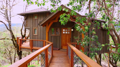 Mi casa en un árbol: Bungaló en el jardín