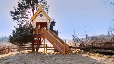 Mi casa en un árbol: Refugio creativo