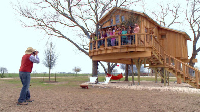 Mi casa en un árbol: Una casa de veinte toneladas en Texas