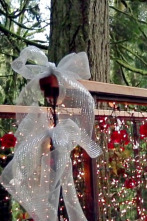 Imagen de Mi casa en un árbol (T1): Amor en el aire - 1
