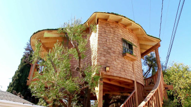 Mi casa en un árbol: Cabaña irlandesa