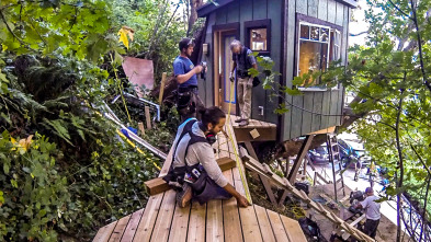 Mi casa en un árbol,...: Meditación entre los arces