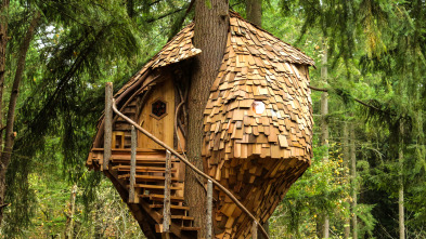 Mi casa en un árbol,...: Colmena en los árboles