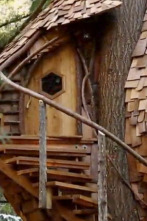 Imagen de Mi casa en un árbol (T3): Colmena en los árboles - 1