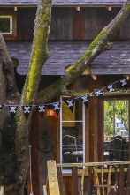 Imagen de Mi casa en un árbol (T3): Escondite para piratas en los árboles - 1