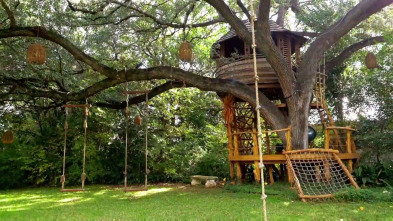 Imagen de Mi casa en un árbol (T5): Vistas desde arriba Parte 3 - 2