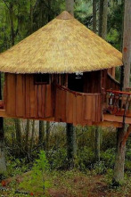 Mi casa en un árbol,...: Cabaña de safari africana