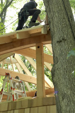 Imagen de Mi casa en un árbol (T4): Sunrise Day Camp - 1