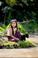 Imagen de (LSE) - Emma y el jaguar negro - 4