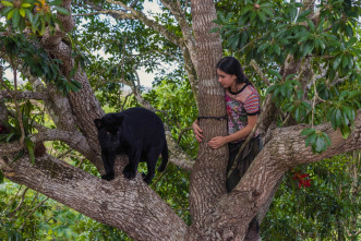 Imagen de (LSE) - Emma y el jaguar negro - 7