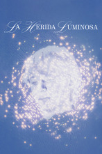 La herida luminosa