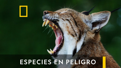 Especies En Peligro 