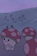 Imagen de Campamento mágico (T4): Seta-rumores - 1
