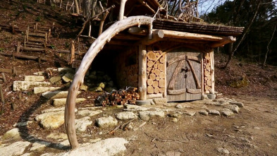 Imagen de Mi casa en un árbol (T2): Mi casa en un árbol: internacional - 2