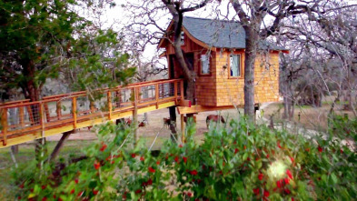 Imagen de Mi casa en un árbol (T1): Balneario en las alturas - 2