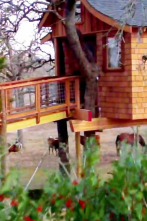 Mi casa en un árbol: Balneario en las alturas