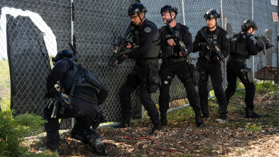 Imagen de S.W.A.T.:  Los... (T7): Ep.8 Hombre de familia - 1