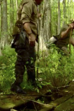 Imagen de Dúo de supervivientes: Gator Bait - 1