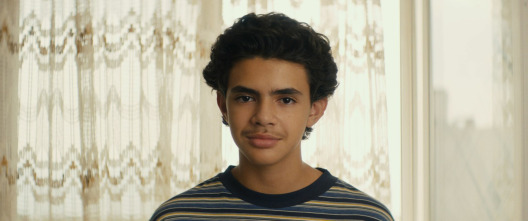 Imagen de El éxito de Youssef Salem - 4