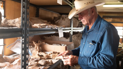 Imagen de Dino Hunters (T1): Disparos - 2
