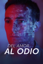 Imagen de Del amor al odio  - 1