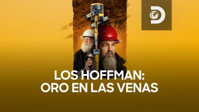 Los Hoffman: oro... (T2): La oportunidad perdida de Todd