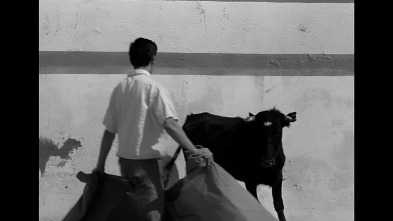 Imagen de Los golfos - 7