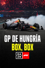 GP de Hungría: Box, Box