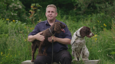 Perros detectives: Espera lo inesperado