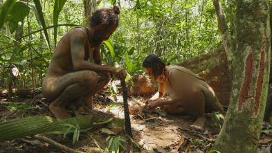 Imagen de Aventura en pelotas:...: La pesadilla de las chinches - 2