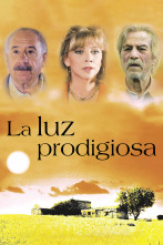 Imagen de La luz prodigiosa - 1