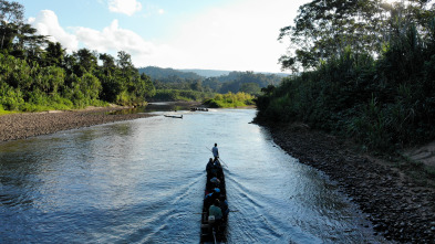 Imagen de Fish Or Die: Bienvenidos a la selva - 2