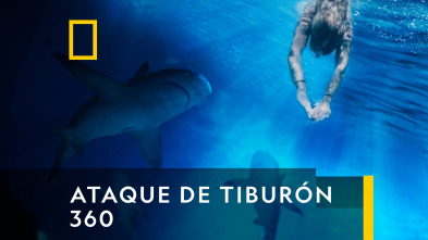 Ataque de tiburón 360 