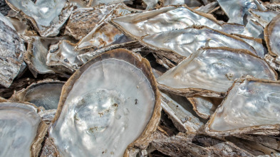 Imagen de ¿Cómo lo hacen? (T10): Buques Chinamax/Russian Standard/Orejas de mar - 2