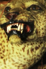 Extinct Or Alive: El leopardo de Zanzíbar