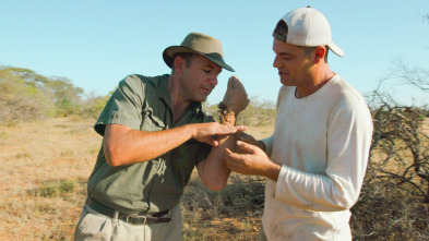 Imagen de Wild Frank y el beso...: Ep.3 - 2