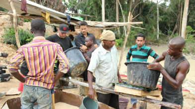 Oro en la jungla: Caos