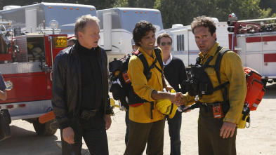Imagen de Entourage (T5): Ep.9 Tarta - 2