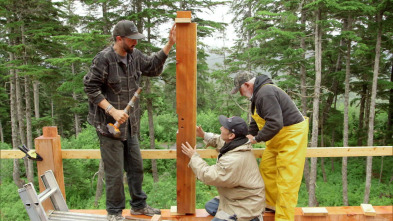 Construyendo Alaska: Cambiar a un plano radiológico