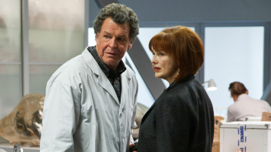 Fringe (Al límite) (T3): Ep.14 6B