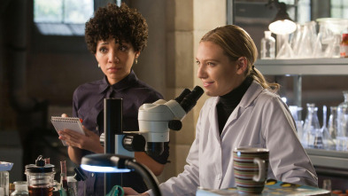Imagen de Fringe (Al límite) (T3): Ep.17 Polizón - 2
