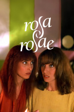 Imagen de Rosa, Rosae - 1