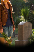 Imagen de True Blood (T6) - 1
