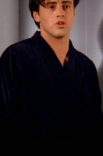 Imagen de Friends (T1): Ep.6 El del culo - 1