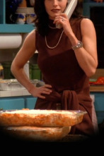 Imagen de Friends (T1): Ep.12 El de la docena de lasañas - 1